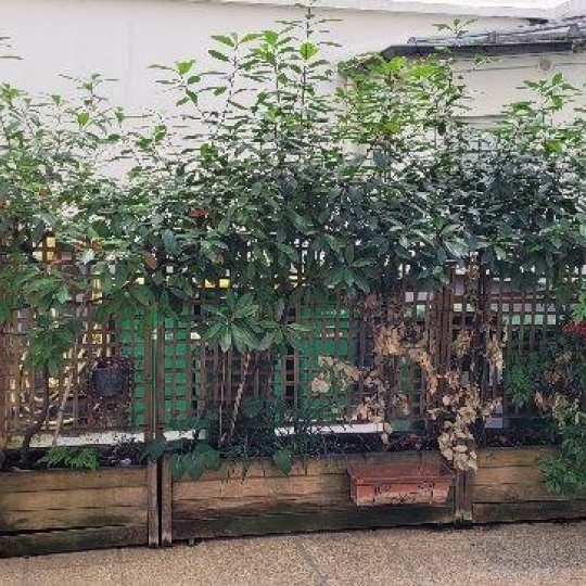  Annonces SURESNES : Appartement | PARIS (75017) | 17 m2 | 150 000 &euro; 