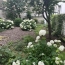  Annonces SURESNES : Appartement | PARIS (75009) | 30 m2 | 425 000 &euro; 