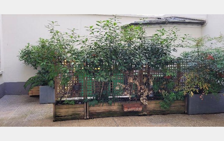 Annonces SURESNES : Appartement | PARIS (75017) | 17 m2 | 150 000 &euro; 